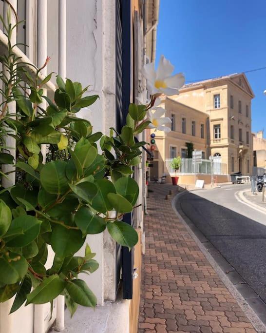 Studios Du Marin Sur Port De La Ciotat Dış mekan fotoğraf